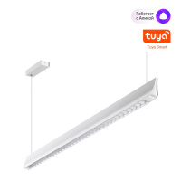 Светильник Подвесной Диммир. Со Сменой Цв. Температуры (управл. - Пульт Ду Или Прилож. Smart Life) Iter Ledo, Led, Белый (Novotech, 359551)